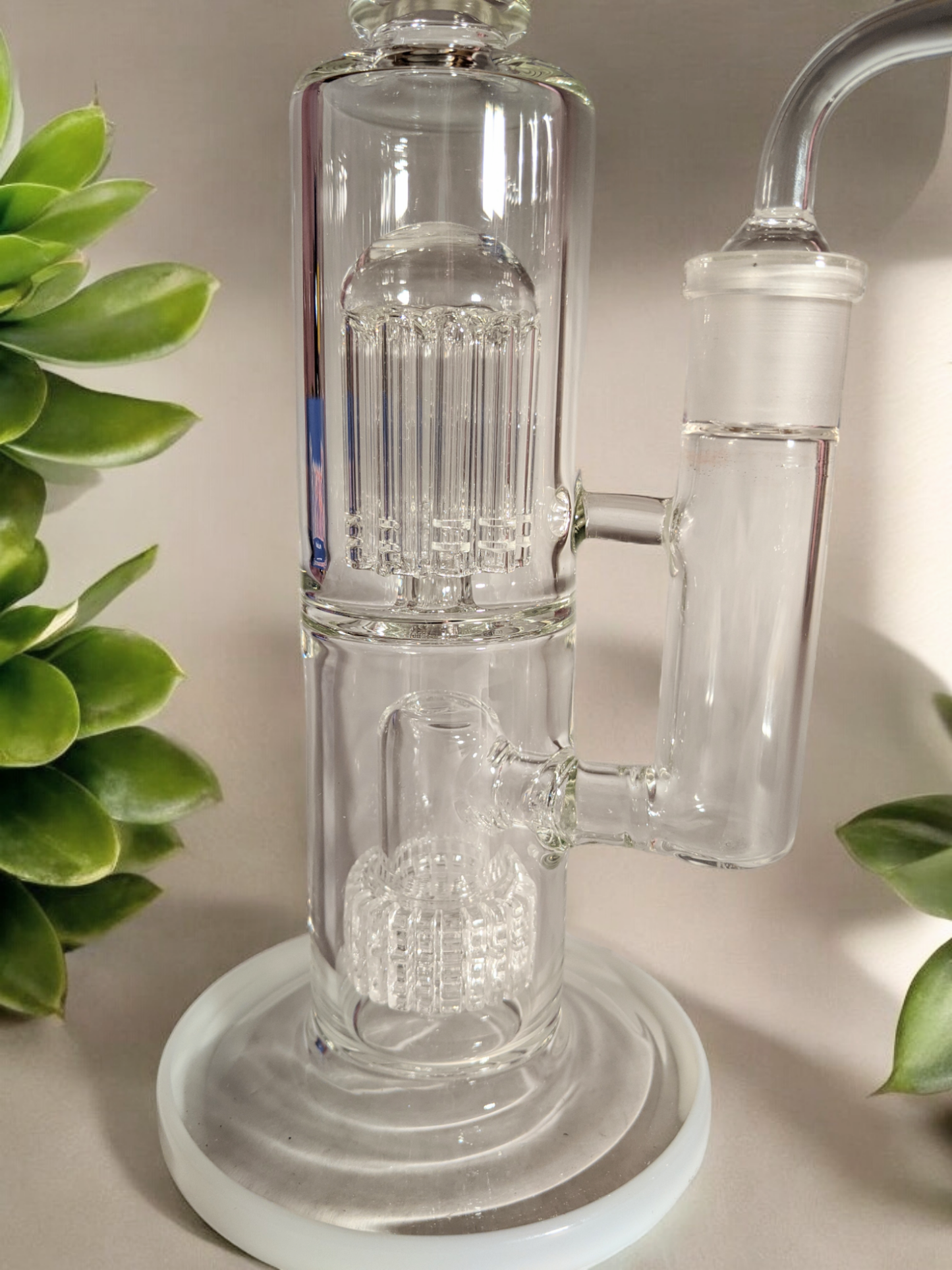 12" Classic White Double Perk Rig